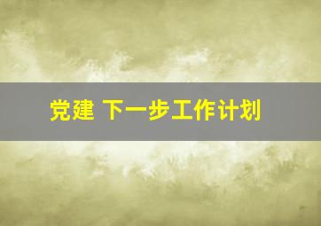 党建 下一步工作计划